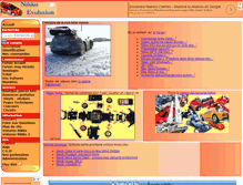 Tablet Screenshot of nikkoevolution.fr